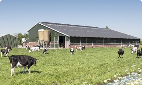 farm building suitable for reflective insulation