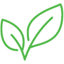 eco friendly icon